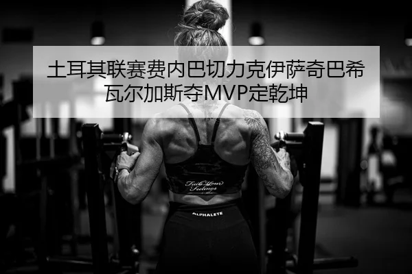 tu-er-qi-lian-sai-fei-nei-ba-qie-li-ke-yi-sa-qi-ba-xi-wa-er-jia-si-duo-ding-qian-kun-2-338.jpg